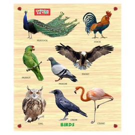 Webby Premium Wooden Birds Educational Puzzle Toy