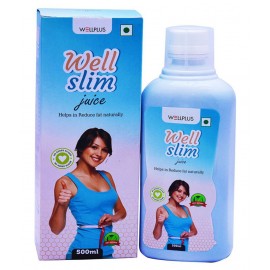 Wellplus Ayurveda Slim Juice Liquid 500 ml