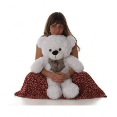 White Teddy Bear Soft Toy for kids in 2ft (60cm)