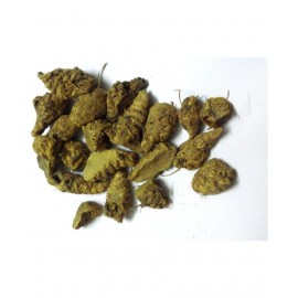 Xetomos Very Rare Kali Haldi Turmeric (Black) Raw Herbs 100 gm
