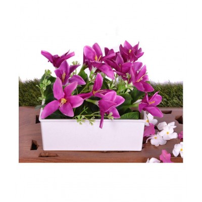 YUTIRITI Lily Purple Flowers With Pot - Pack of 1