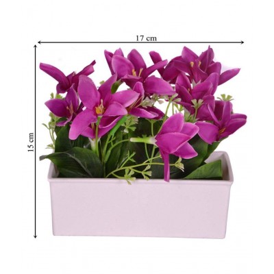 YUTIRITI Lily Purple Flowers With Pot - Pack of 1