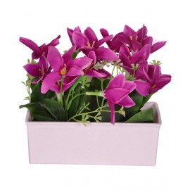 YUTIRITI Lily Purple Flowers With Pot - Pack of 1