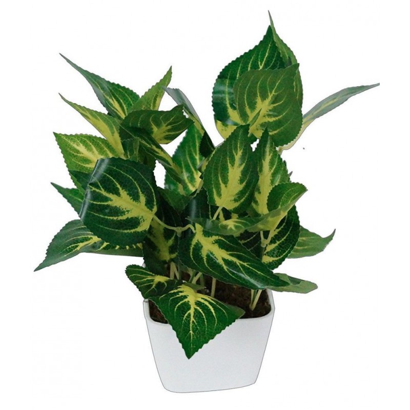 YUTIRITI Miniature Decorative Plant With Pot Green Greens With Pot Plastic - Pack of 1