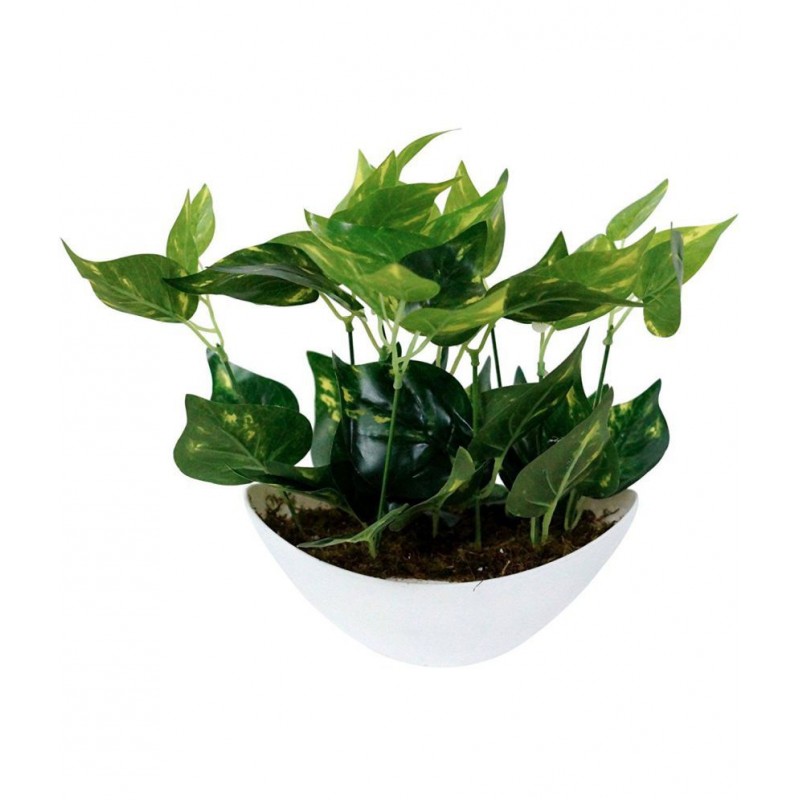 YUTIRITI Miniature Money Decorative For Home Green Artificial Plants Bunch Plastic - Pack of 1
