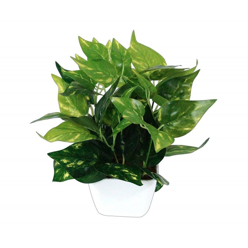 YUTIRITI Miniature Money Plant Green Artificial Tree Plastic - Pack of 1