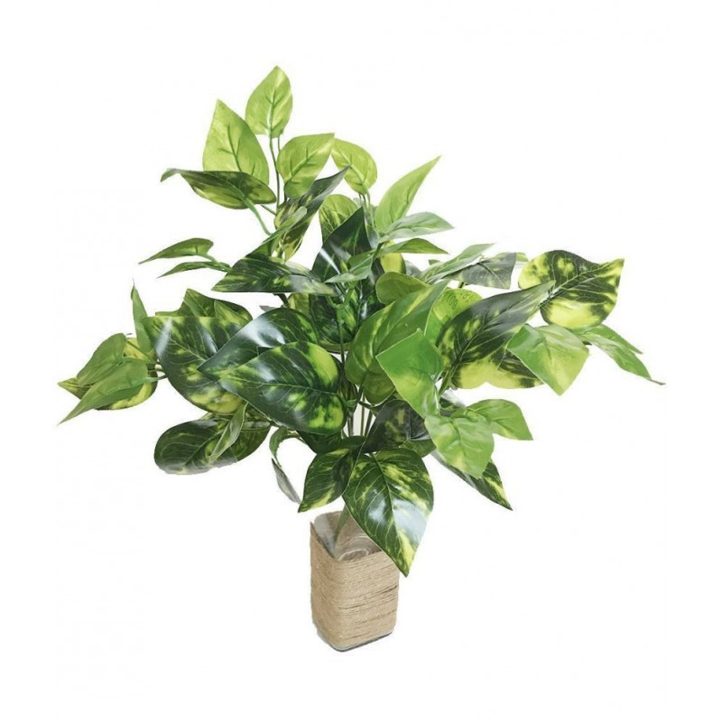 YUTIRITI Miniature Moneyplant Green Artificial Plants Bunch Plastic - Pack of 1