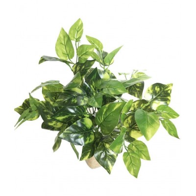 YUTIRITI Miniature Moneyplant Green Artificial Plants Bunch Plastic - Pack of 1