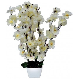 YUTIRITI Orchids White Flowers With Pot - Pack of 1