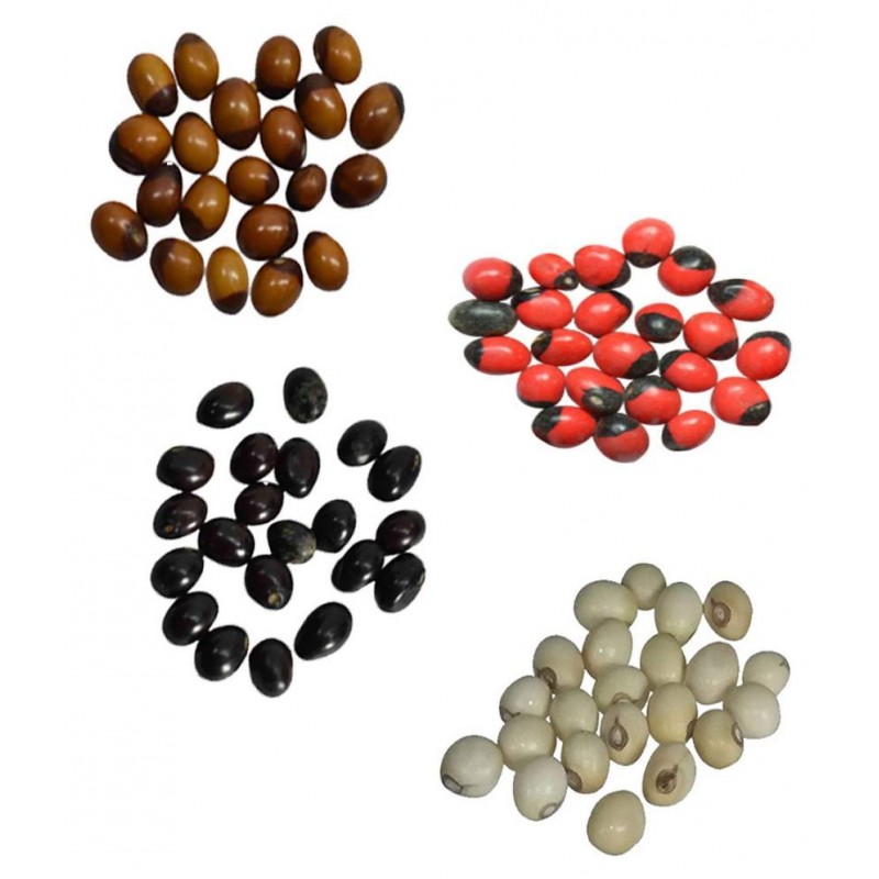 Yellow, White, Red, Black Gunja  - Chirmi Beads - Combo Pack - 21 Pieces x 4