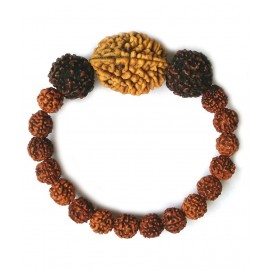 Yuvi Shoppe  2 Mukhi Rudraksh, 5 Mukhi Beads Wrist Band Bracelet for Men and Women (Brown)