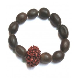 Yuvi Shoppe Bracelet of laxmi seed / kamal gatta and five mukhi Rudraksha with Elastic Band for Men and Women (Adjustable)