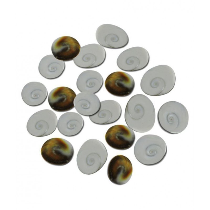 Yuvi Shoppe Original Gomati Chakra For Lakshmi Poojat- 21pcs