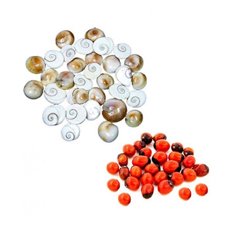 Yuvi Shoppe Set of 30 Pcs Gomti Chakra and Natural Red Gunja Red Chirmi