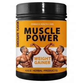Zemaica Healthcare Muscle Power Weight Gainer Choco Flavor Powder 500 gm Pack Of 1