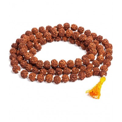 antipl Rudraksha Pack of 1