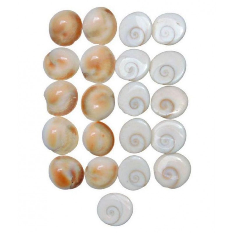 bhaune colloction GOMTI CHAKRA SET OF 21 PCS