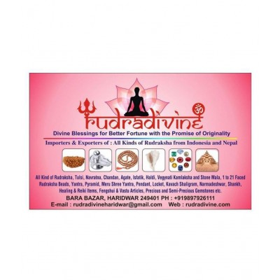 most precious shree shri sampoorn sampurna sampoorna yantra king of all yantra for Money, Success and Achievement 25 x 25 cm