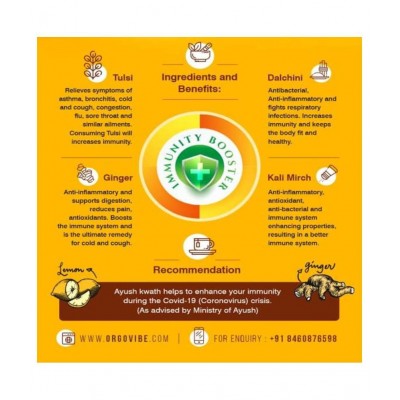 orgovibe AYUSH KWATH CHURNA Powder 200 gm Pack Of 2