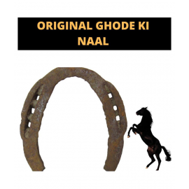 original Black Horse Iron Shoe / Kale Ghode ki Naal