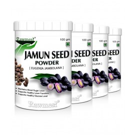 rawmest Jamun Seed Powder 400 gm