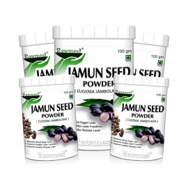 rawmest Jamun Seed Powder 500 gm