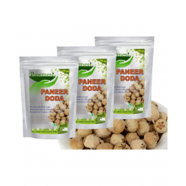 rawmest Paneer Doda 600 gm