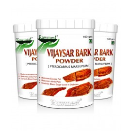 rawmest Vijaysar Bark Powder 300 gm Pack of 3