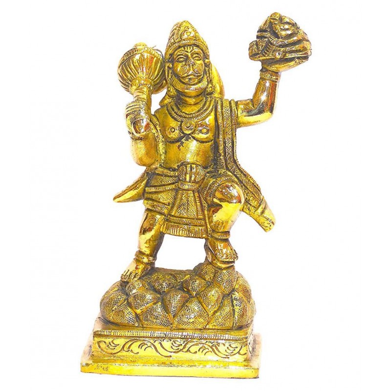 rudradivine Hanuman Brass Idol