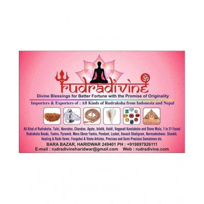 rudradivine Krishna Brass Idol