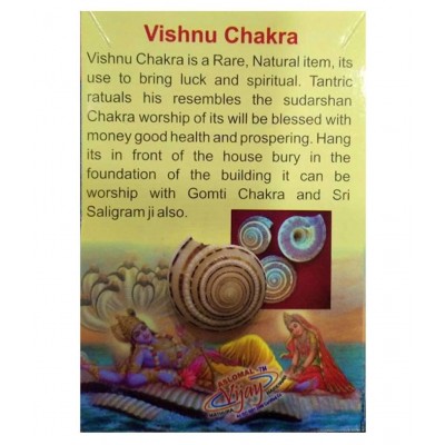 rudradivine Natural Vishnu Chakra Combo of 2 Shell for Laxmi poojan Vastu Dosh and To Attract Wealth Vishnu Chakra 100% Natural | Vishnu Chakra | Religious Item | Shell for Vastu dosh and to attract wealth