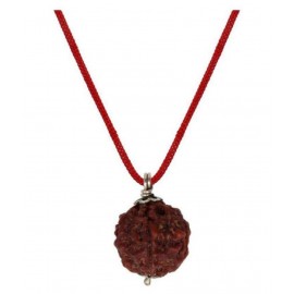 rudradivine Rudraksha Pack of 1