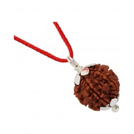 rudradivine Rudraksha Pack of 1