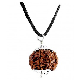 rudradivine Rudraksha Pack of 1