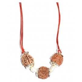 rudradivine Rudraksha Pack of 1
