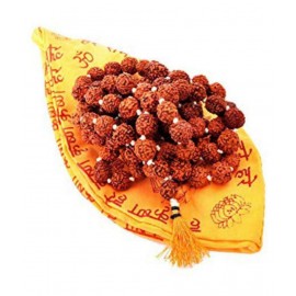 rudradivine Rudraksha Pack of 1