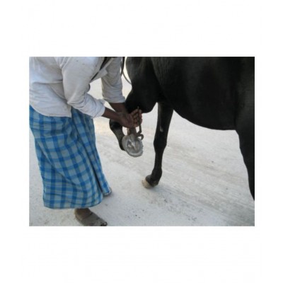 rudradivine horse shoe and horseshoe ring combo made with original horse shoe combo of black horseshoe and iron ring