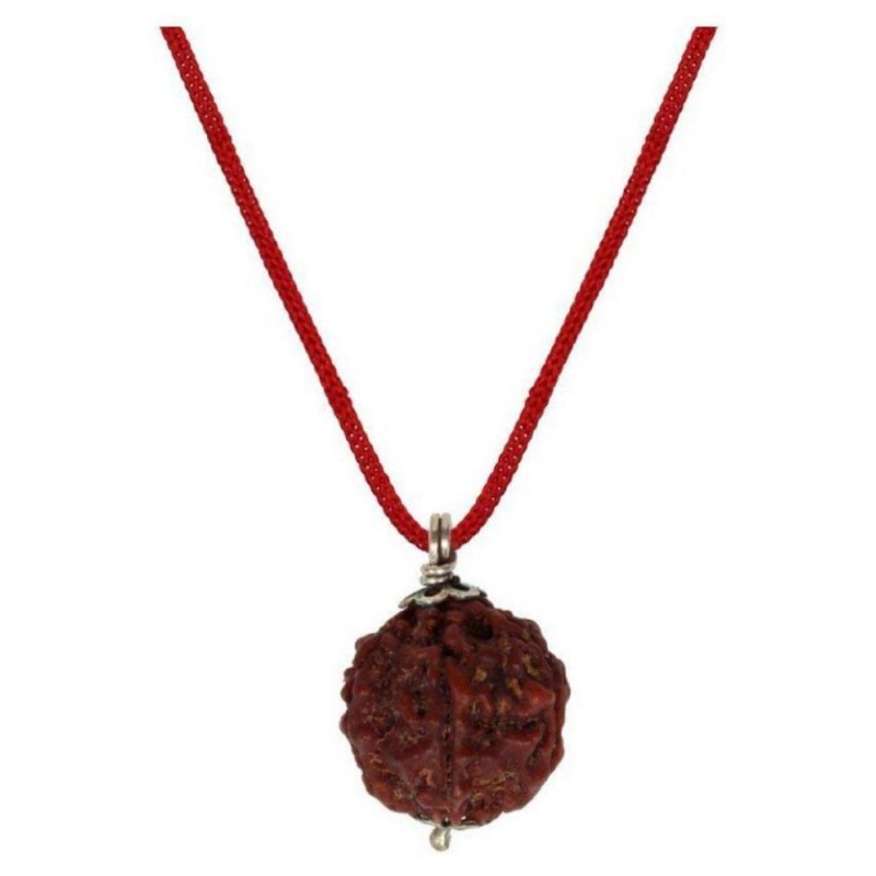 rudrdivine Rudraksha Pack of 1