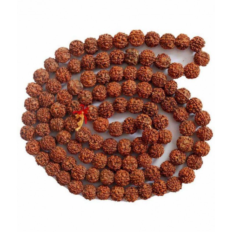 vastughar 5Mukhi Rudraksh Mala (108+1 Beads )