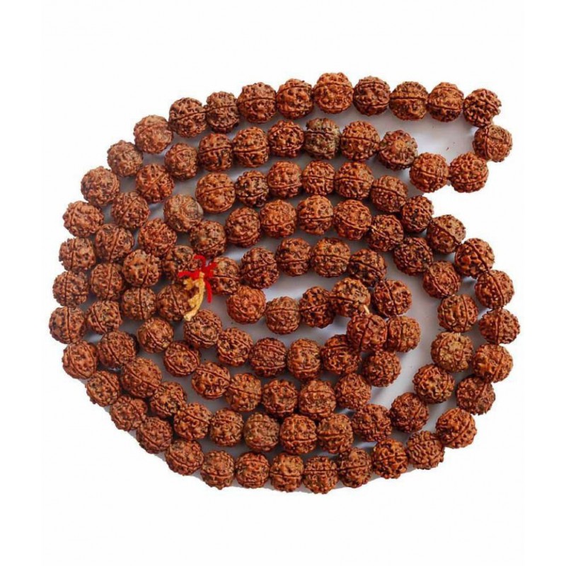 vastughar 5Mukhi Rudraksh Mala