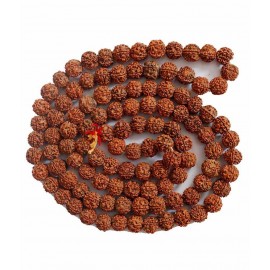 vastughar 5Mukhi Rudraksh Mala