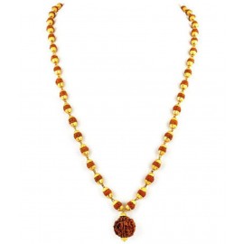 vastughar Rudraksha Wood