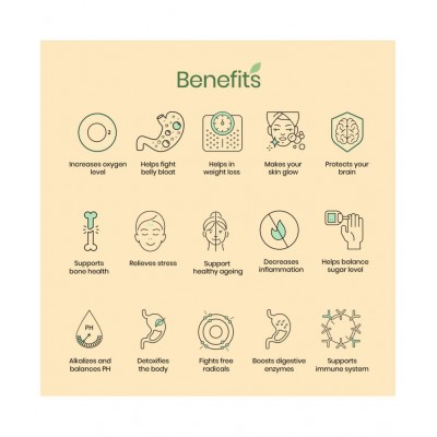 wellbeing nutrition Daily Greens, Organic Plant Superfood, Natural Multivitamin, Effervescent 63 gm Multivitamins Tablets