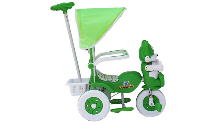 Amardeep-Green--White-Tricycle-2